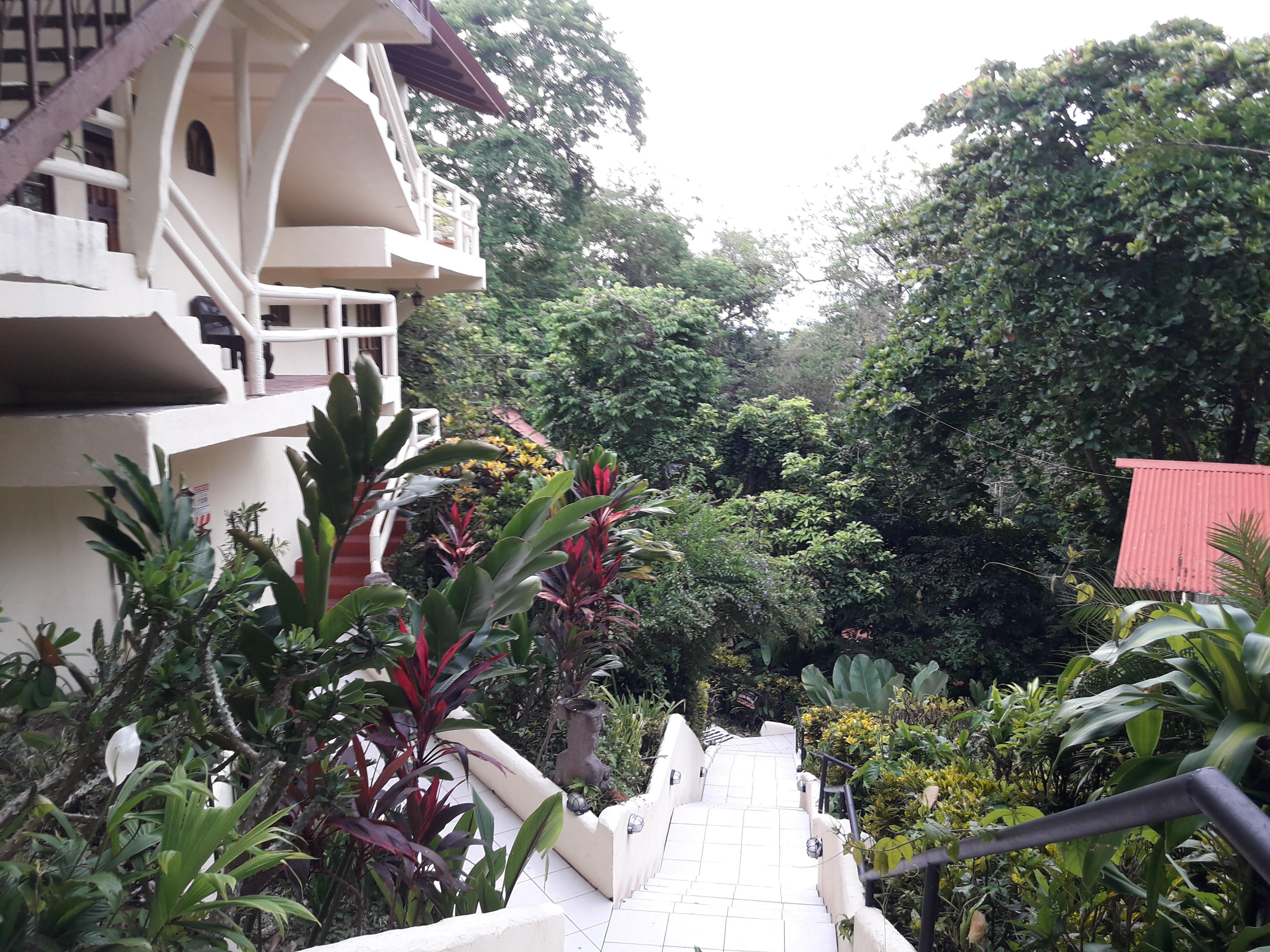 Hotel La Colina Manuel Antonio Exterior photo