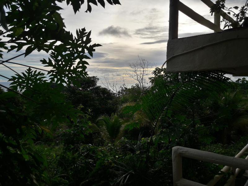 Hotel La Colina Manuel Antonio Room photo